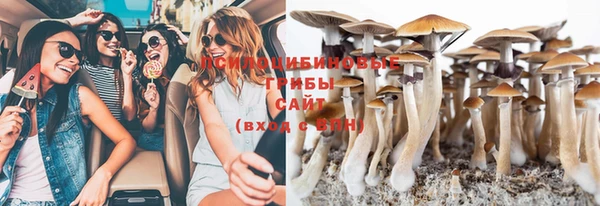 2c-b Алзамай